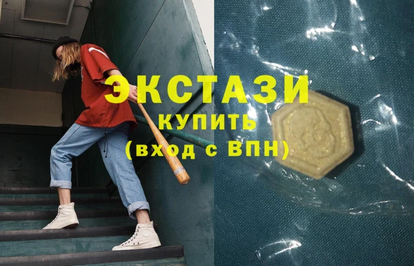 ECSTASY Богородицк