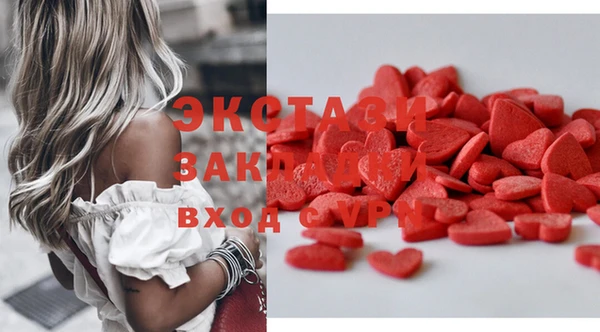 ECSTASY Богородицк